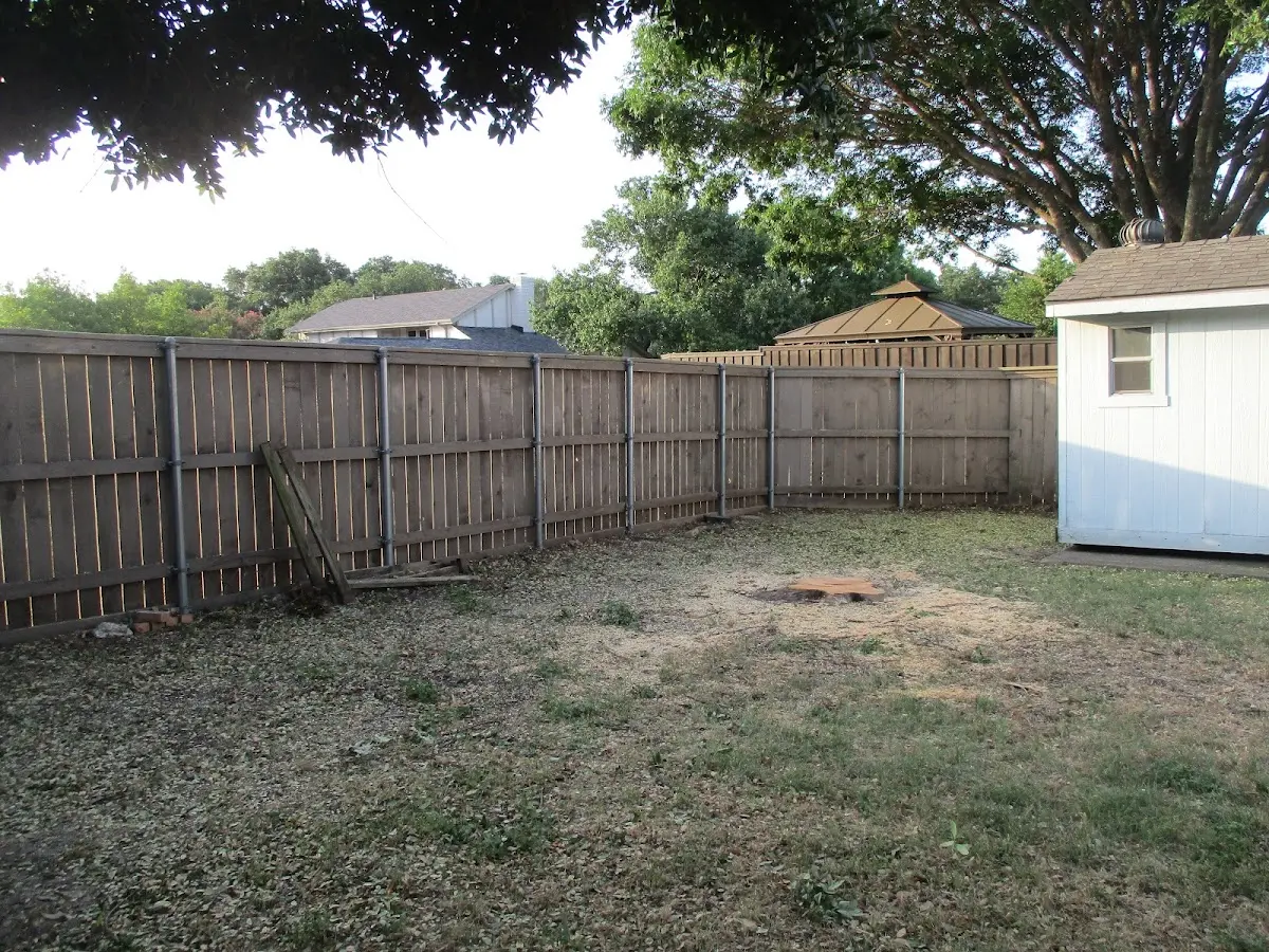 Cleared yard after professional tree removal in Vandiver